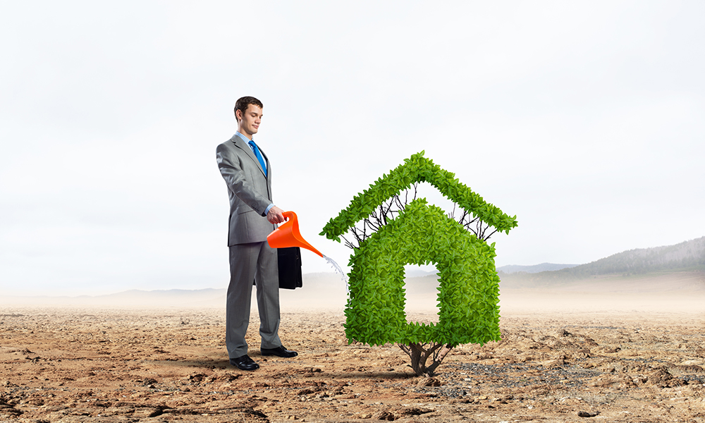 Green Financing Opportunities and Benefits for Eco-friendly Businesses